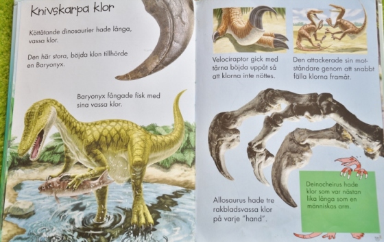 dinosaurier 3 (800x505)